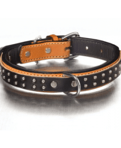 Bridle Leather Collars