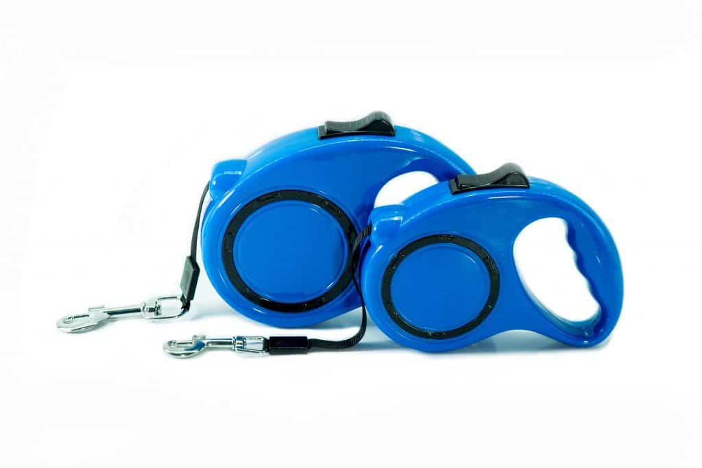 5 Reasons Not to Use a Retractable Dog Leash